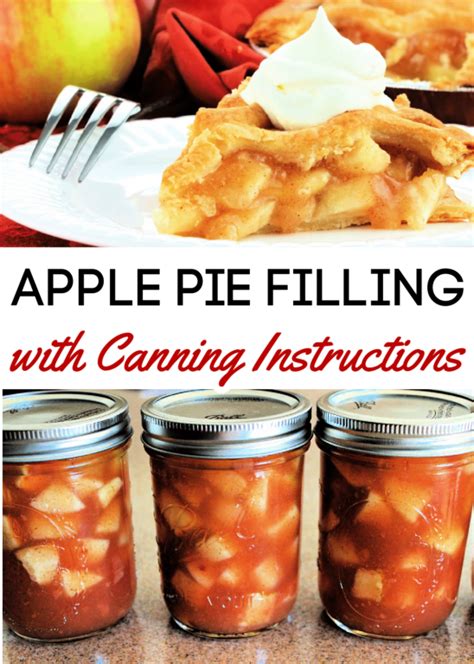 canned-apple-pie-filling-recipe-six-dollar-family image