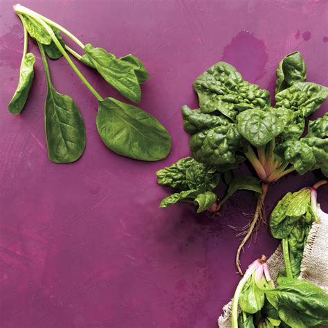 spinach-recipes-for-every-meal-martha-stewart image