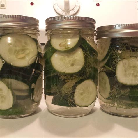 refrigerator-dill-pickles-allrecipes image