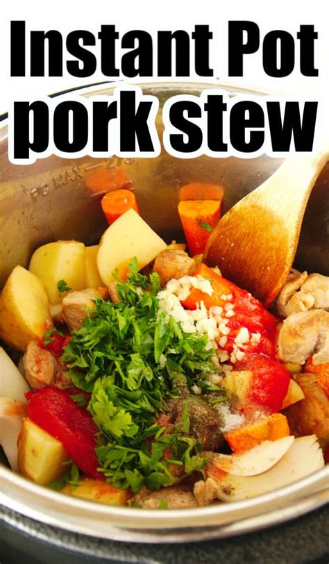 pork-stew-instant-pot-recipe-the-typical-mom image