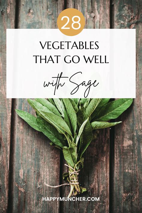 what-vegetables-go-well-with-sage-28-veggies image