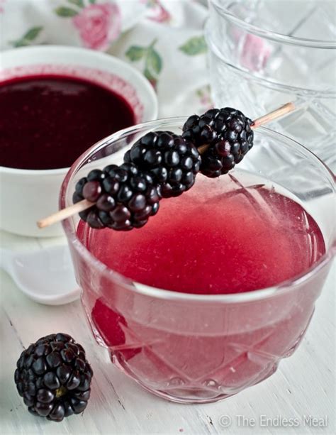 blackberry-lavender-soda-the-endless-meal image