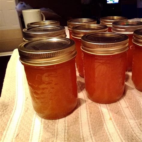 apricot-jam-allrecipes-food-friends-and image