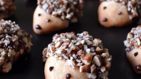 hedgehog-cookies-recipe-food-friends-and-recipe-inspiration image
