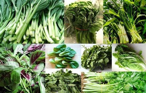 chinese-vegetables-leafy-greens-the-woks-of-life image