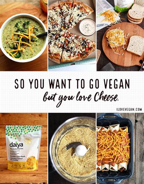 so-you-want-to-go-vegan-but-you-love-cheese image