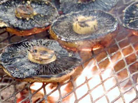 grilled-portobello-mushrooms-recipe-food-network image