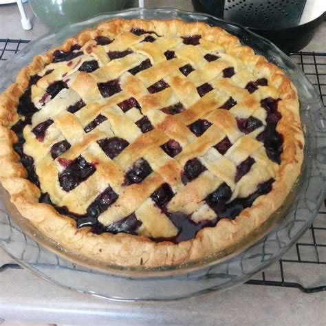 homemade-blueberry-pie-allrecipes image