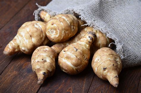 how-to-find-and-eat-jerusalem-artichokesfalls-wild image