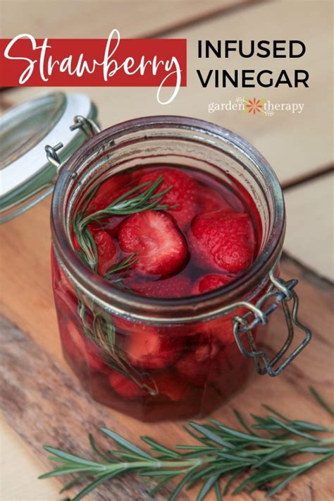 infused-strawberry-vinegar-recipe-for-delicious-salads image