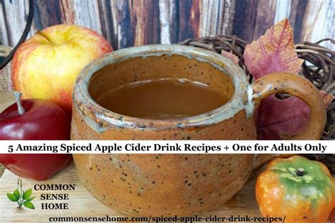 5-amazing-spiced-apple-cider-drink-recipes-one-for image