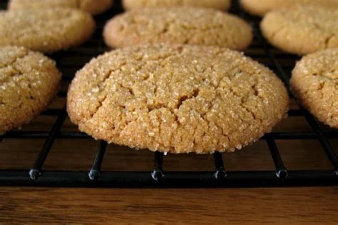 soft-ginger-cookies-recipe-foodcom image