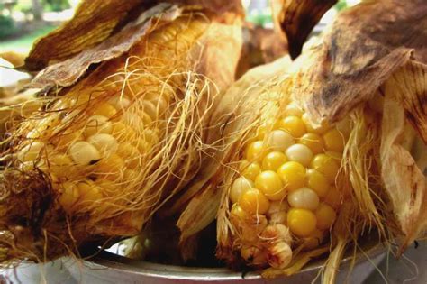 super-easy-fat-free-grilled-corn-in-the-husk-foodcom image