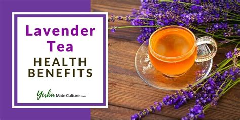 lavender-tea-benefits-side-effects-and-how-to-make-it image
