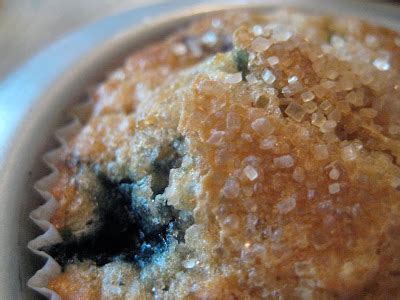 blueberry-muffins-with-coarse-sugar-topping-a image