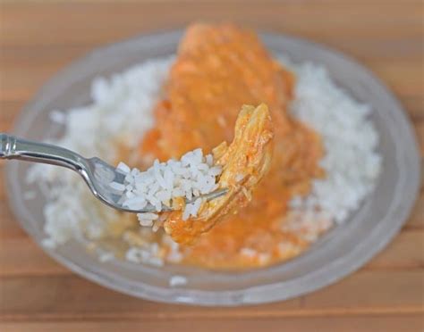 instant-pot-chicken-paprikash-recipe-honest-and-truly image