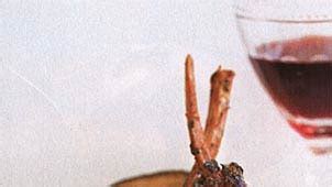 grilled-charmoula-lamb-chops-recipe-epicurious image