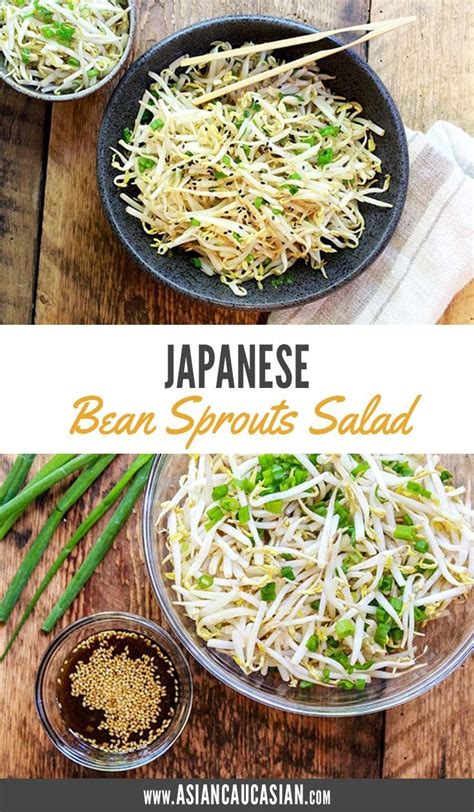 easy-japanese-bean-sprouts-salad-asian-caucasian-food image