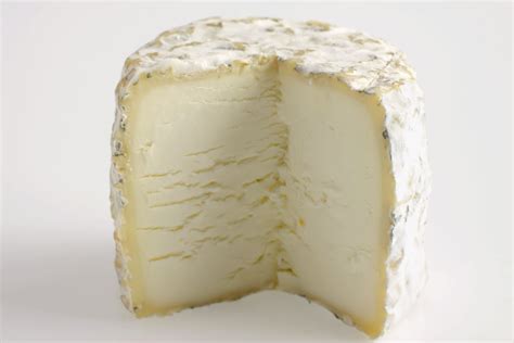 fresh-cheese-varieties-the-spruce-eats image