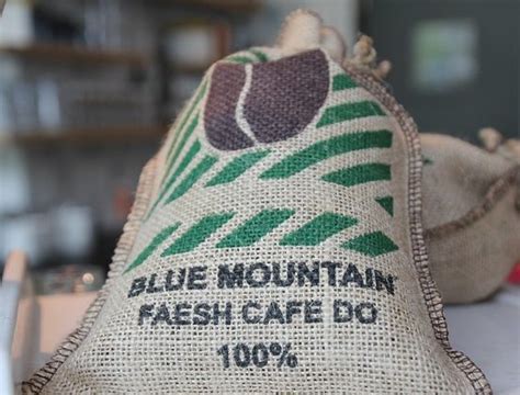 6-best-jamaican-blue-mountain-coffee-brands-coffee image