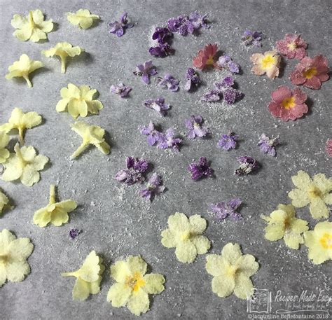 how-to-make-crystallised-flowers-recipes-made-easy image