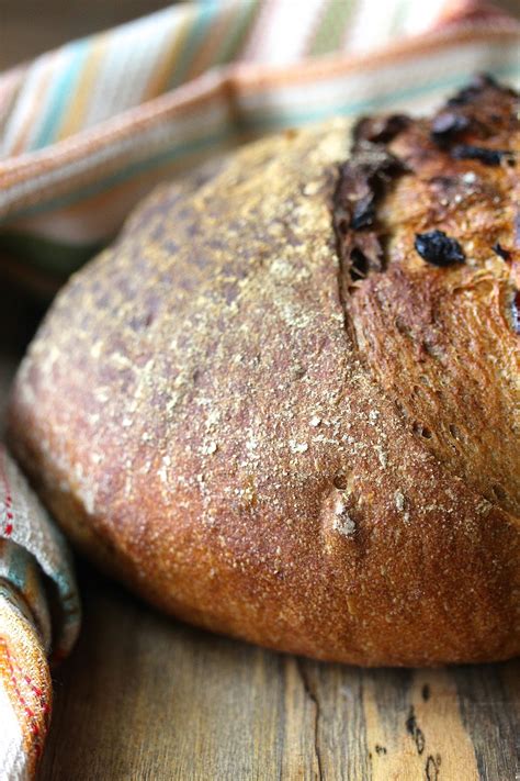 cranberry-walnut-and-pecan-rye-bread-karens image
