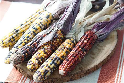 can-you-eat-indian-corn-yes-and-heres-how image