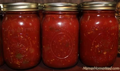 homemade-salsa-canning-recipe-mamas-homestead image