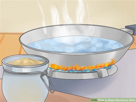 how-to-make-blackberry-wine-with-pictures-wikihow image