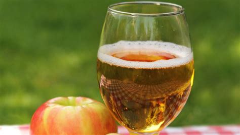 how-to-make-hard-apple-cider-the-lazy-mans-guide image