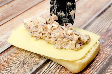 tuna-and-cheese-melt-panini-lunch-ideas image