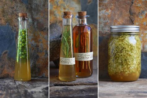 how-to-make-herbal-vinegar-practical-self-reliance image