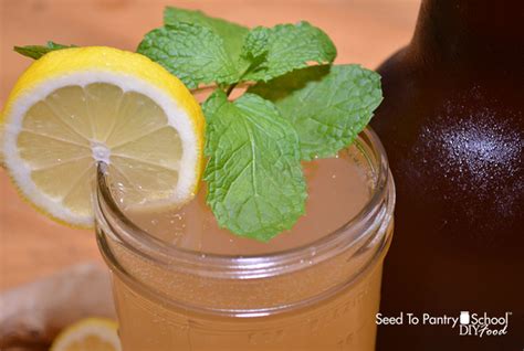how-to-brew-alcoholic-ginger-beer-the-easy-way image