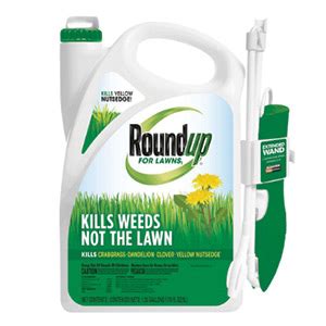 lawn-care-the-home-depot image