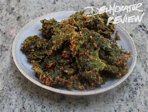 six-recipes-for-dehydrated-kale-chips image