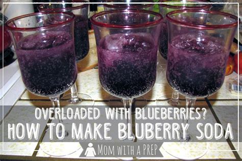 overloaded-with-blueberries-make-your-own-blueberry image