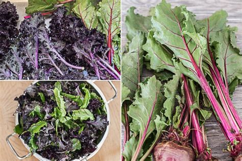 garlicky-sauted-greens-lettys-kitchen image