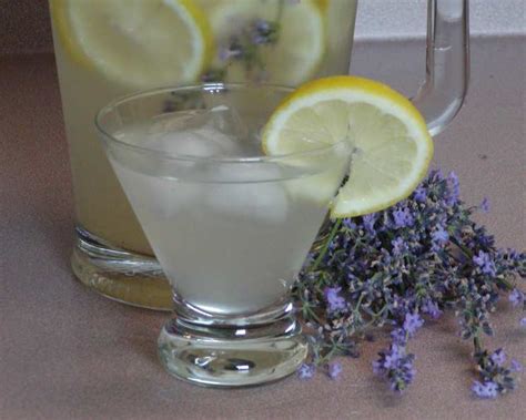 lavender-cooler-recipe-foodcom image