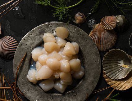 what-are-scallops-the-spruce-eats image