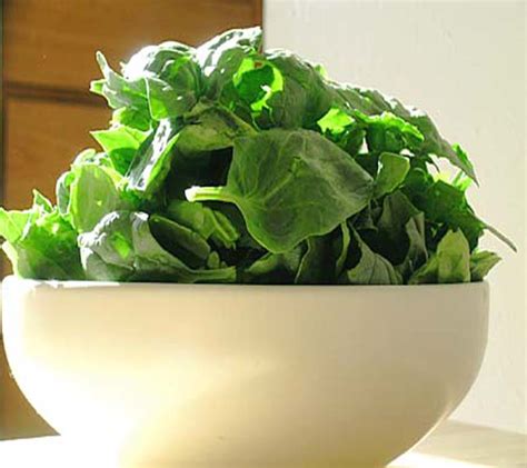 spinach-salad-lidia image
