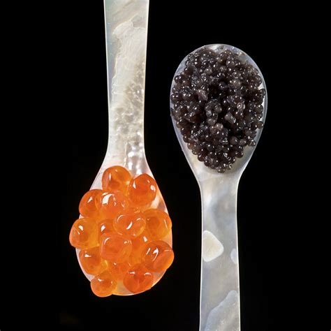 caviar-wikipedia image