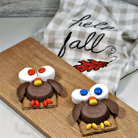 owl-cookies-easy-no-bake-chocolate image