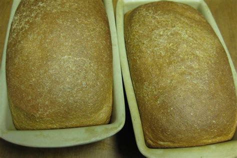 honey-whole-wheat-bread-recipe-foodcom image