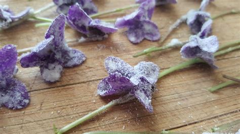 candied-violets-recipe-the-spruce-eats image