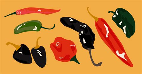 a-guide-to-mexicos-most-essential-chilies-culture-trip image