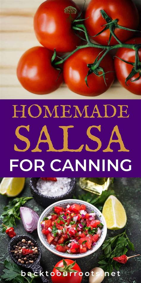 the-best-homemade-salsa-recipe-for-canning-back-to image