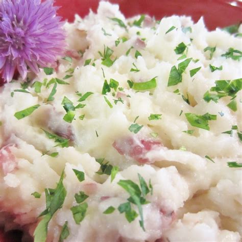 natalies-amazing-irish-mashed-potatoes-allrecipes image
