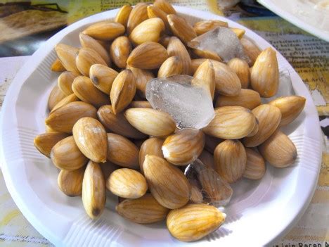almonds-on-ice-turkey-local-food-guide-eat-your image