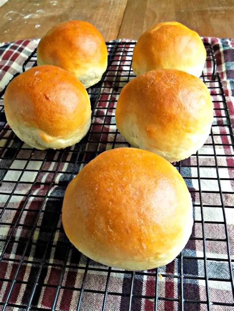 easy-and-quick-hamburger-buns-my-homemade-roots image