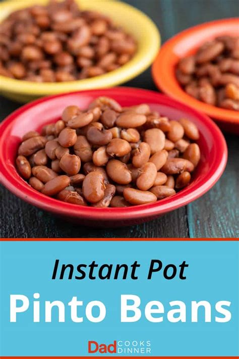 instant-pot-pinto-beans-no-soaking-dadcooksdinner image